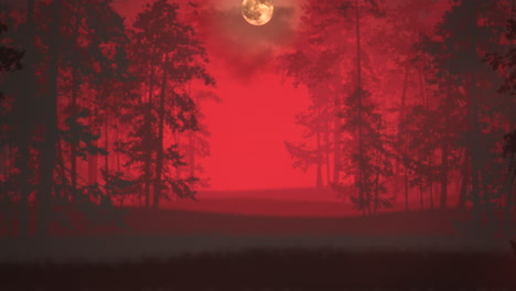 Mystischer-Halloween-Hintergrund-Mit-Dunklem-Wald-Und-Nebel-6