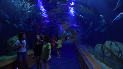 People-walk-through-an-underwater-tunnel-in-an-aquarium-display