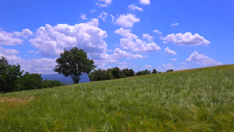 Wolken-Ziehen-Hinter-Schönen-Weiten-Offenen-Feldern-Mit-Wehenden-Korn-In-Der-Provence