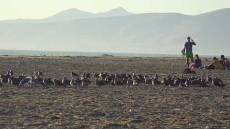 People-and-shorebirds-enjoy-the-sand-along-the-Central-California-coast