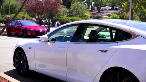 Tesla-electric-cars-sit-in-a-parking-lot-charging