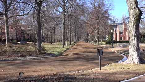 Von-Bäumen-Gesäumte-Straßen-Definieren-Ein-Wohlhabendes-Viertel-In-St.-Louis-Missouri