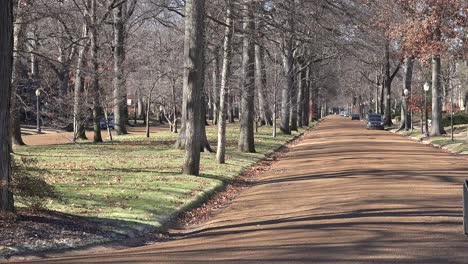 Treelined-streets-define-a-wealthy-neighborhood-in-St-Louis-Missouri-1