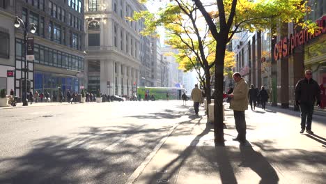 Eine-Schöne-Aufnahme-Entlang-Der-5th-Avenue-In-New-York-City-Mit-Fußgängern-Und-Verkehr
