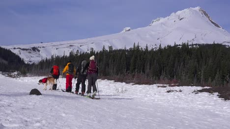 Cross-country-skiers-and-their-St-Bernard-dog-prepare-to-trek-to-Mt-Hood-Oregon