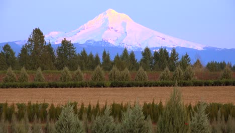 Abendlicht-Beleuchtet-Mt-Hood-Oregon-1