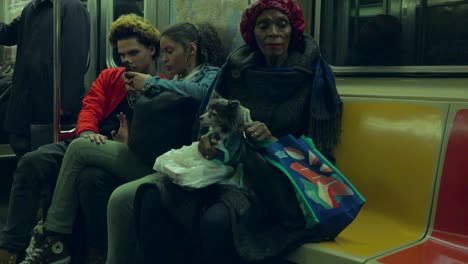 A-woman-with-a-small-dog-on-her-lap-rides-the-New-York-city-subway