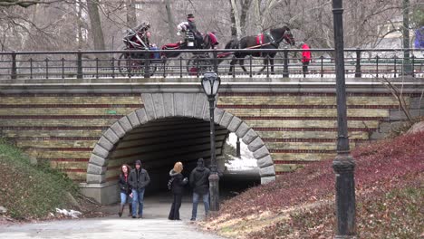 Carruaje-Tirado-Por-Caballos-Se-Mueve-A-Través-De-Un-Puente-En-El-Central-Park-De-Nueva-York