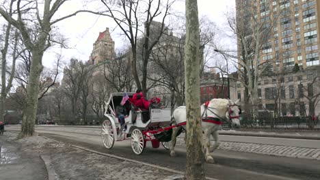 Horse-drawn-carriages-move-through-Central-Park-in-New-York-city-2