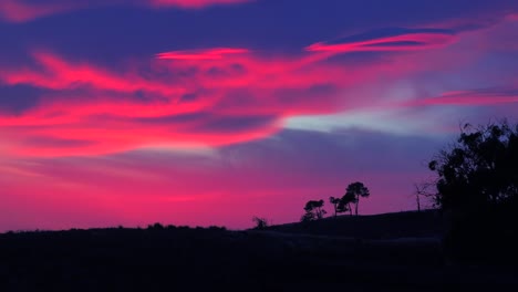 A-beautiful-otherworldly-sunrise-or-sunset-along-the-California-coast-with-a-silhouetted-tree-in-foreground-1