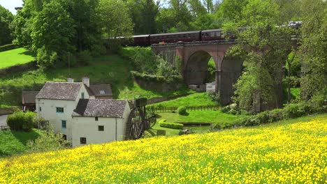 A-steam-train-passes-over-a-stone-bridge-in-the-english-countryside-with-a-field-of-wildflowers-foreground