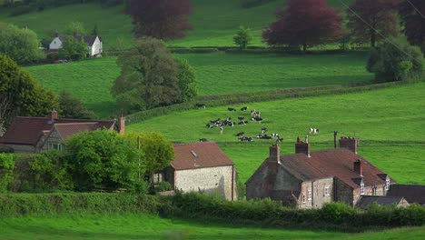 Very-quaint-cottages-make-up-a-rural-village-in-England-Ireland-Wales-or-Scotland