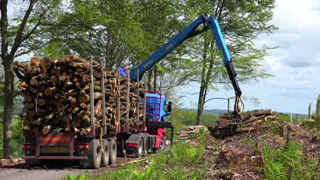 A-claw-loads-lumber-onto-a-semi-truck-in-a-deforested-area