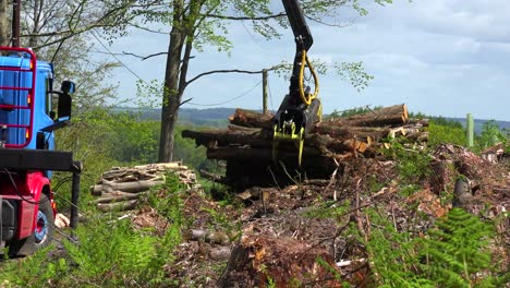 A-claw-loads-lumber-onto-a-semi-truck-in-a-deforested-area-1