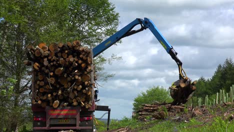 A-claw-loads-lumber-onto-a-semi-truck-in-a-deforested-area-2