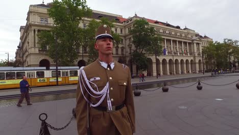 Hungarian-palace-guard-stands-at-attention-in-Budapest-Hungary-1