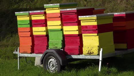 Multicolored-bee-boxes-sit-on-a-trailer-in-Slovenia