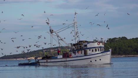 A-fishing-boat-comes-into-port-with-hundreds-of-seagulls-in-pursuit-1