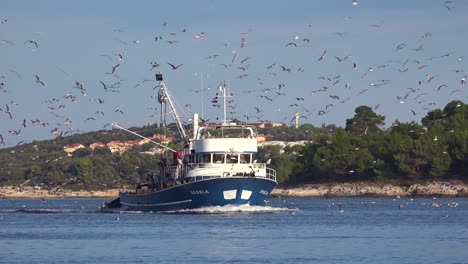 A-modern-fishing-boat-comes-into-port-with-hundreds-of-seagulls-in-pursuit-1