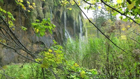 Blick-Durch-Die-Vegetation-Zum-Wunderschönen-Wasserfall-Im-Nationalpark-Plitvice-In-Kroatien