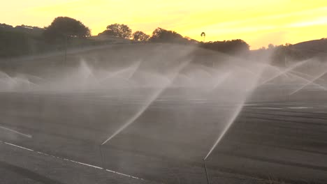 Sprinkler-Bewässern-Ein-Trockenes-Feld-In-Kalifornien-Während-Einer-Dürre-2