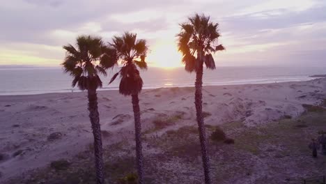 Flying-by-aerial-of-palm-trees-and-a-California-beach-scene-1