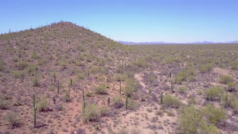Luftaufnahme-über-Wüstenkaktus-Im-Saguaro-Nationalpark-In-Der-Nähe-Von-Tucson-Arizona-1