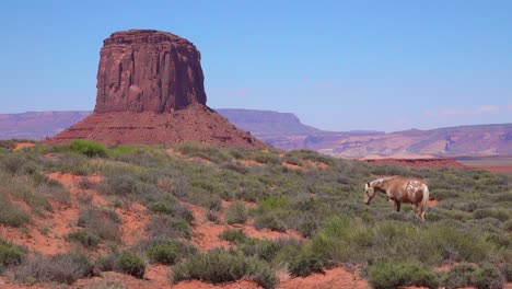 Horses-graze-with-the-natural-beauty-of-Monument-Valley-Utah-in-the-background