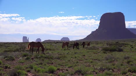 Pferde-Weiden-Mit-Der-Natürlichen-Schönheit-Des-Monument-Valley-Utah-Im-Hintergrund-2