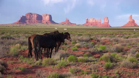 Pferde-Weiden-Mit-Der-Natürlichen-Schönheit-Des-Monument-Valley-Utah-Im-Hintergrund-10