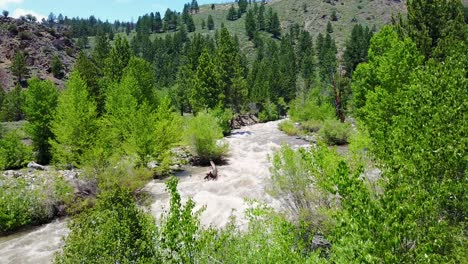 Aerial-shot-over-a-raging-Walker-River-in-the-Sierra-Nevada-Mountains-of-California
