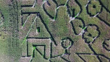 An-aerial-over-a-vast-corn-maze-on-a-Michigan-farm-2