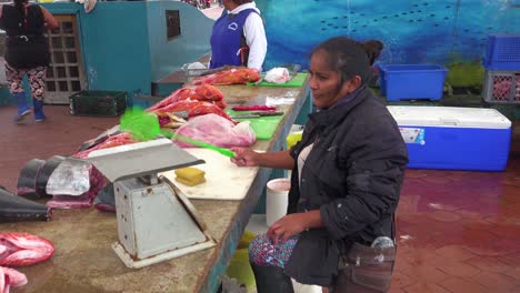 Ein-Seelöwe-Versucht-Auf-Dem-Fischmarkt-In-Puerto-Ayora-Ecuador-Galapagos-Nahrung-Zu-Stehlen