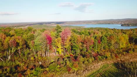 Antenne-über-Weite-Wälder-Mit-Herbstlaub-Und-Farben-In-Maine-Oder-Neuengland