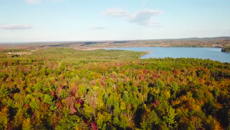 Antenne-über-Weite-Wälder-Mit-Herbstlaub-Und-Farben-In-Maine-Oder-Neuengland-1