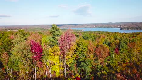 Antenne-über-Weite-Wälder-Mit-Herbstlaub-Und-Farben-In-Maine-Oder-Neuengland-2