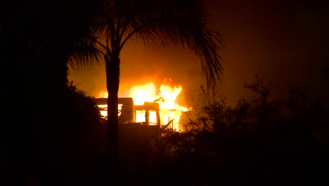 Wide-shot-through-palm-trees-at-night-during-the-2017-Thomas-fire-in-Ventura-County-California