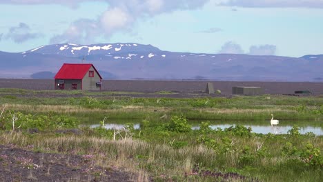 A-remote-house-or-structure-in-Iceland-interior-highlands-with-swan-on-lake-nearby