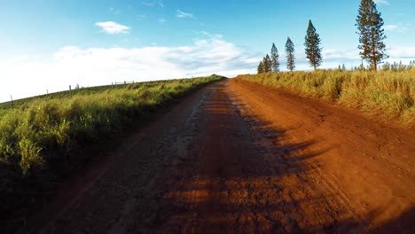 Pov-Von-Der-Vorderseite-Eines-Fahrzeugs,-Das-Auf-Einer-Sehr-Ausgefahrenen-Unbefestigten-Straße-Auf-Molokai-Hawaii-Von-Maunaloa-Nach-Hale-O-Lono-Fährt-2