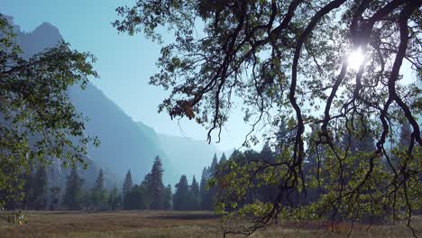 Pan-Horizontal-En-El-Valle-De-Yosemite-Con-Un-Resplandor-Solar-Una-Silueta-De-árboles-Y-Formaciones-De-Paredes-Rocosas-Yosemite-Np-Ca
