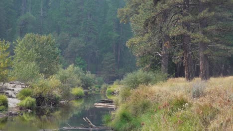 Merced-River,-Der-An-Einem-Ruhigen-Herbsttag-Im-Herbst-Sanft-Durch-Das-Yosemite-Tal-Fließt