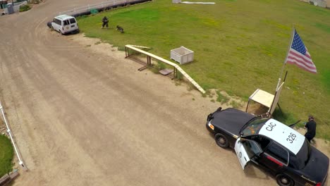 Aerial-view-above-a-K9-dog-in-training-in-a-mock-shootout-between-police-and-criminals-2
