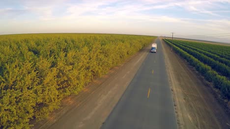 An-aerial-view-over-a-truck-passing-over-almond-orchards