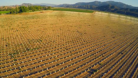 Eine-Wunderschöne-Antenne-über-Farmfeldern-In-Kalifornien