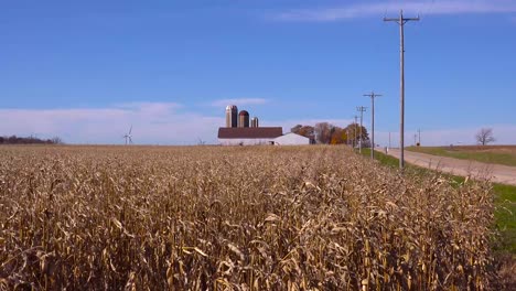 Maisfelder-Wellen-Sich-In-Der-Brise-Entlang-Einer-Landstraße-An-Einem-Sonnigen-Farmtag-In-Wisconsin
