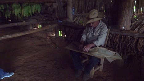 Un-Agricultor-Rueda-Puros-Dentro-De-Un-Granero-De-Tabaco-En-La-Zona-Rural-De-Cuba-1