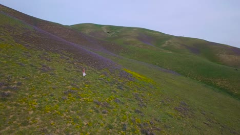 Una-Mujer-Camina-A-Través-De-Vastos-Campos-De-Flores-Silvestres-En-Una-Ladera-De-California