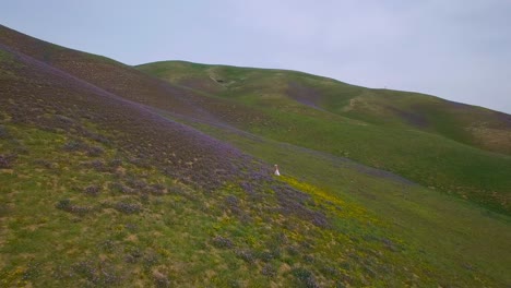 A-woman-walks-through-vast-wildflower-fields-on-a-California-hillside-2