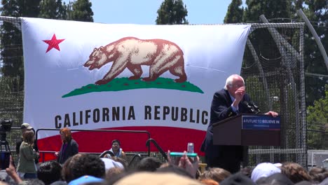 Bernie-Sanders-speaks-in-front-of-a-huge-crowd-at-a-political-rally-about-the-war-on-drugs