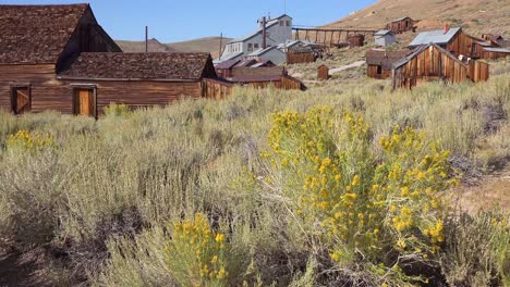 Sagebrush-grows-in-the-ghost-town-of-Bodie-California